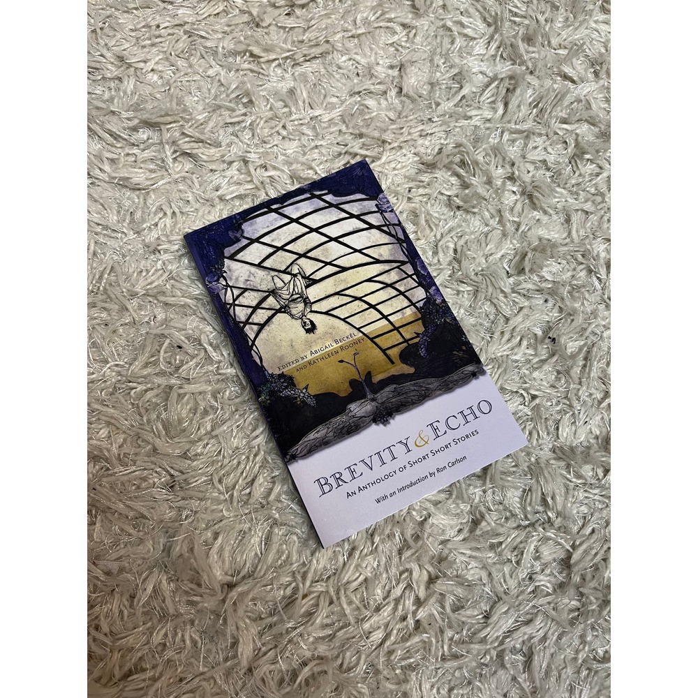 Brevity & Echo- A Collection of Short Stories